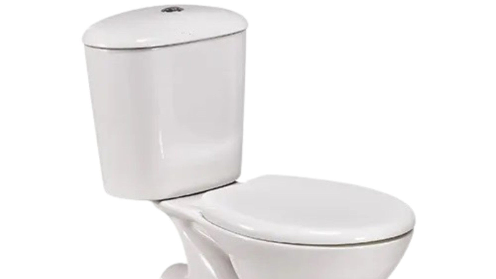 SWADESH Closed Couple Toilet
