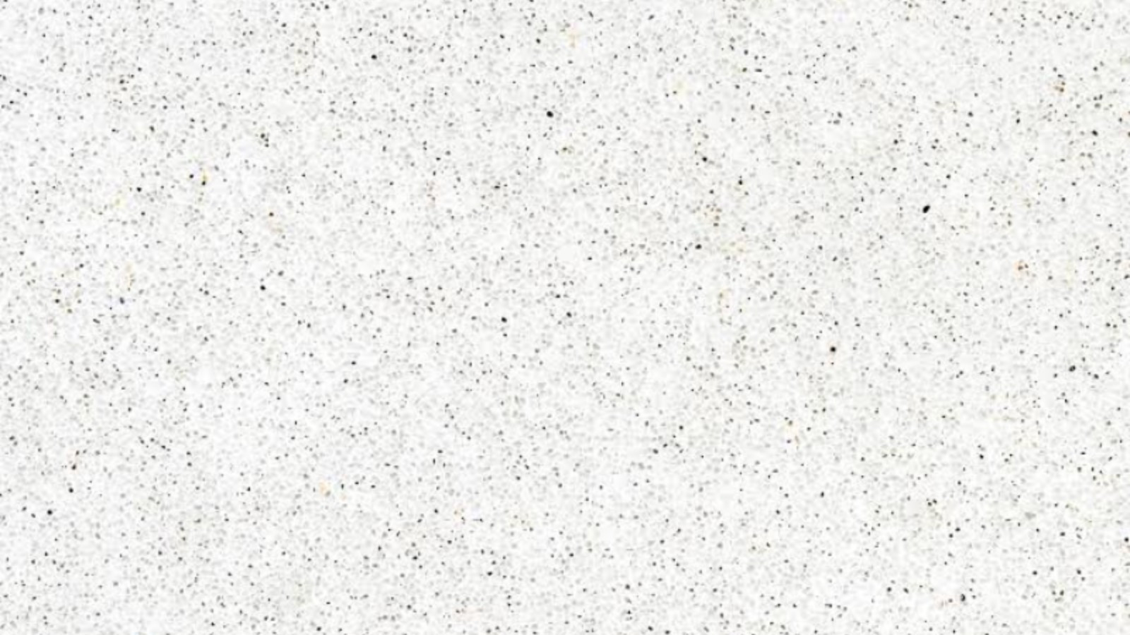Terrazo WHITE texture stones