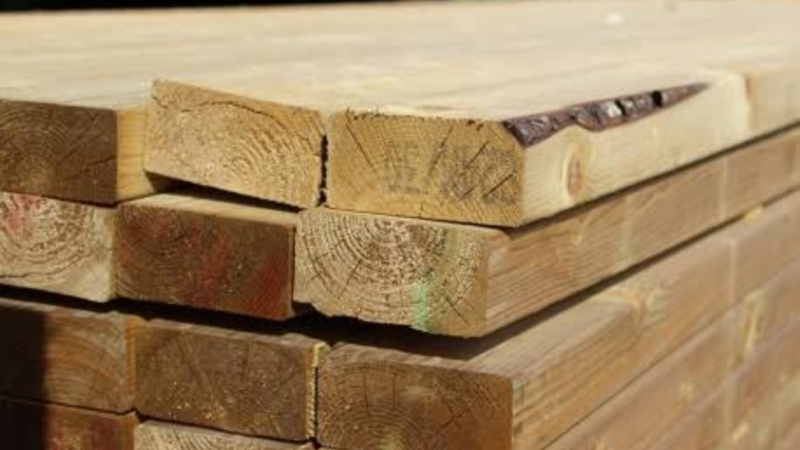 GENERIC 4x2 Timber- Buliti