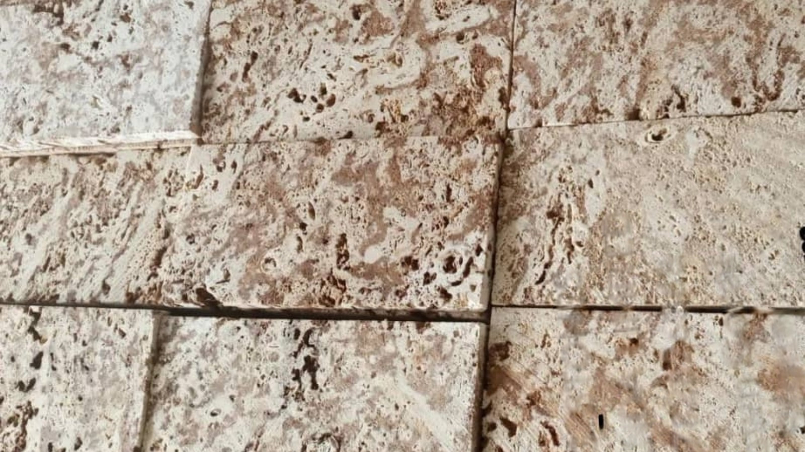 Coral stone Kenyan Mombasa stones